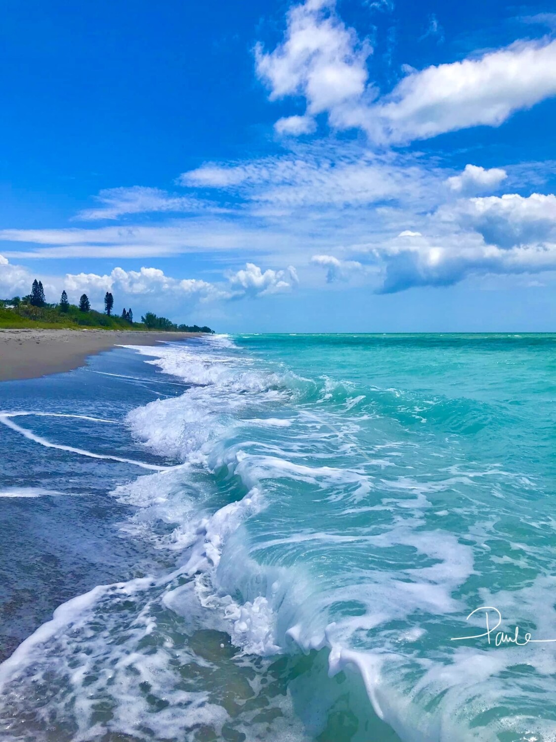 Venice Beach Turquoise Waves