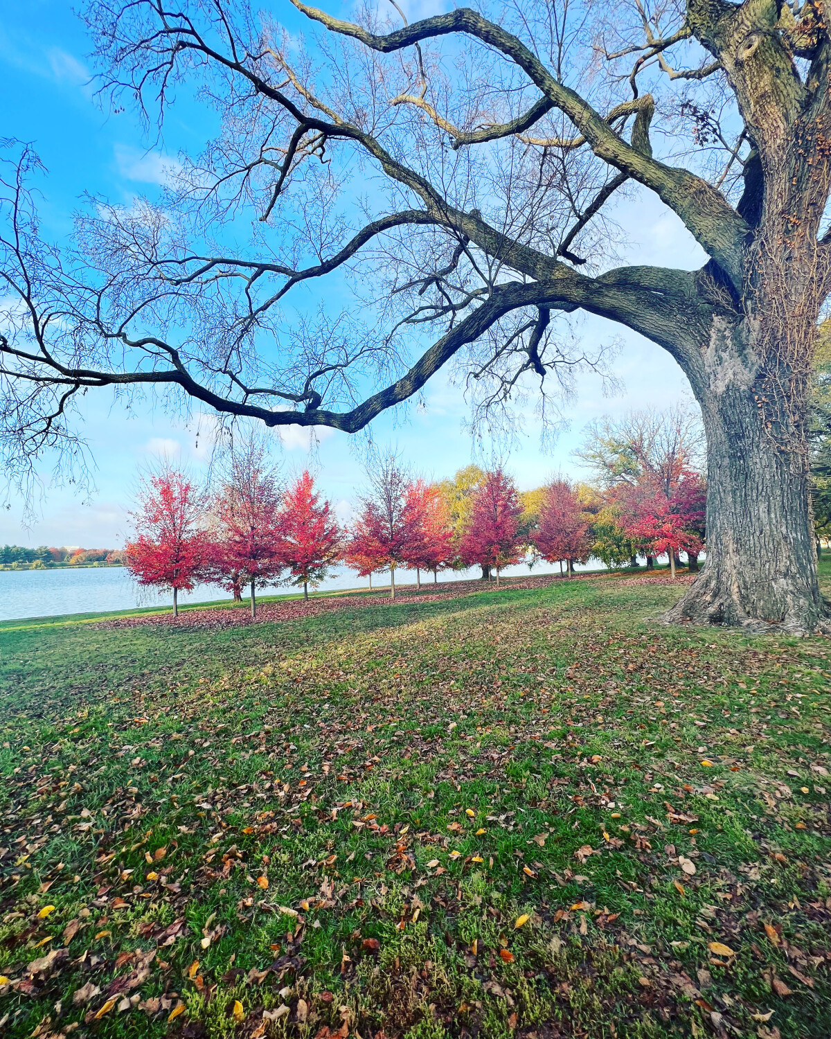 Wrapping her arms  around her babies…