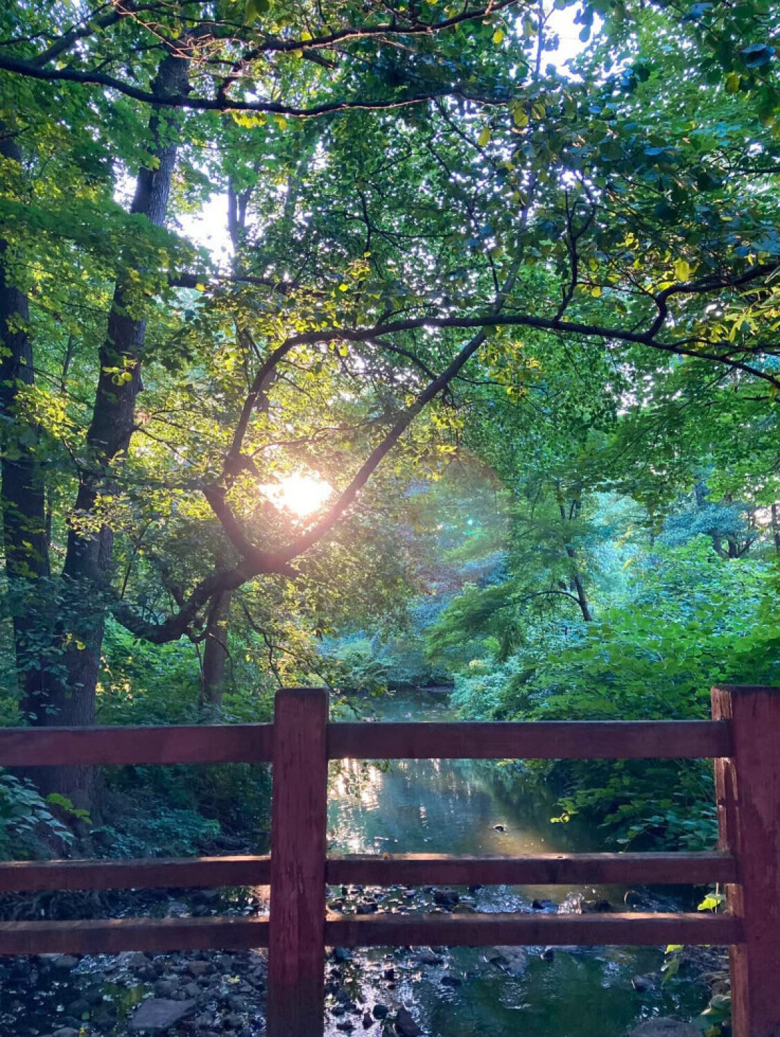 Sun On The Ild Horse Bridge