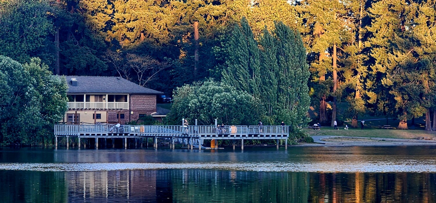 Pescando al atardecer