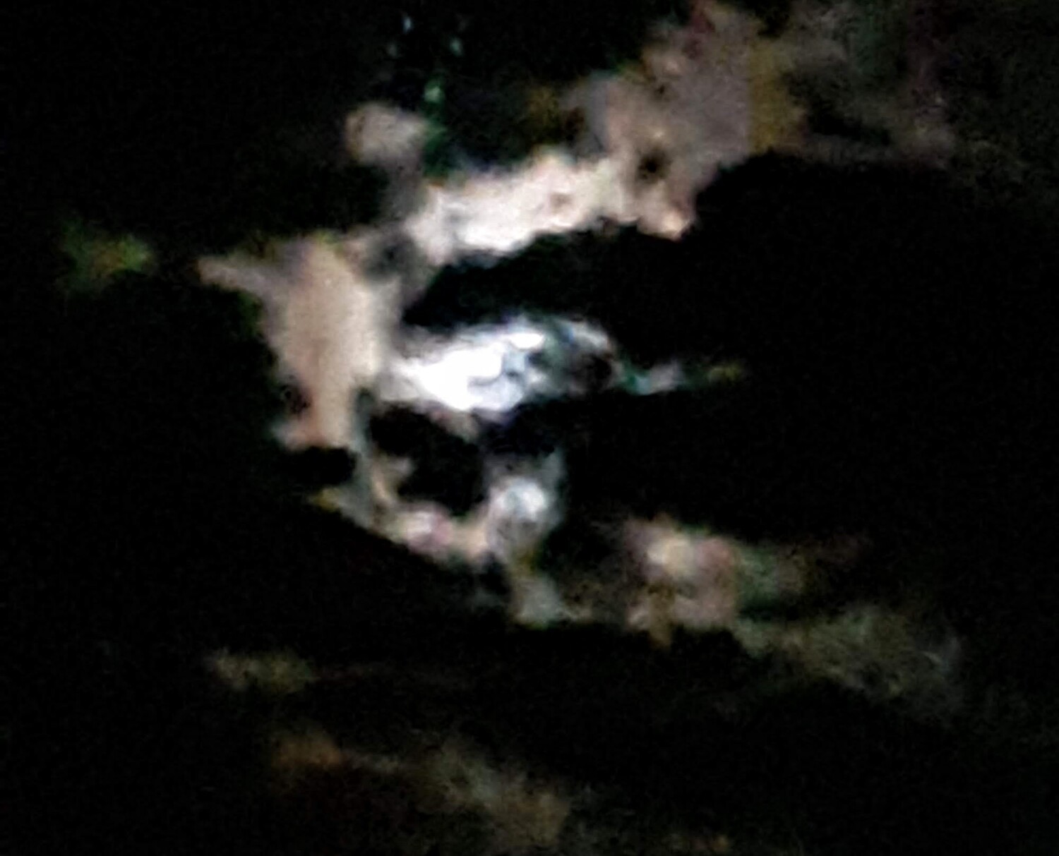 Bird eating the Moon