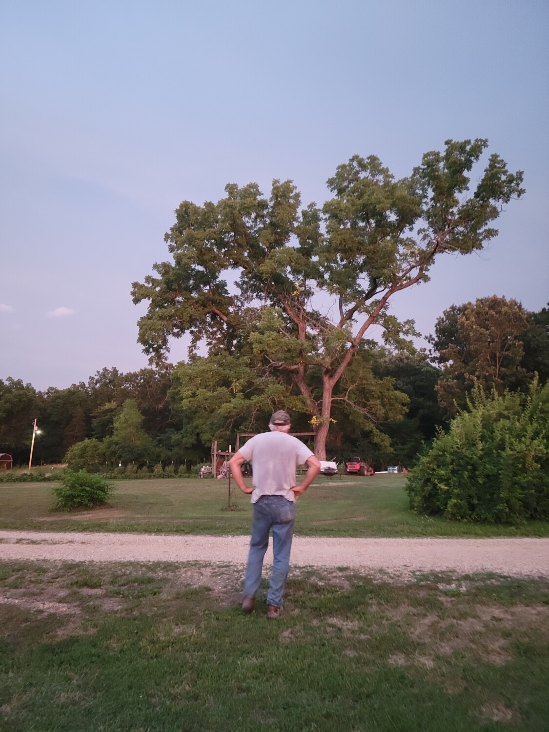 If only that tree could talk