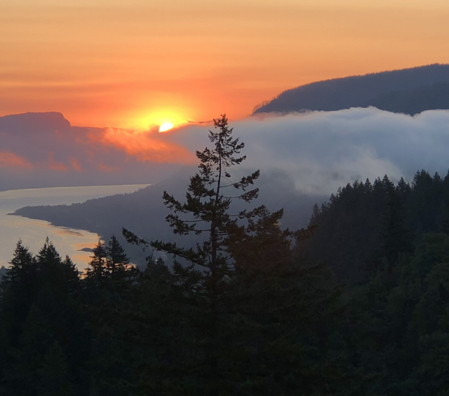 Columbia River Gorge