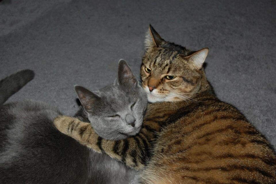 Samantha and Mikey - BFFs