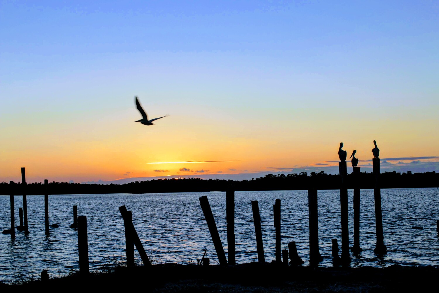 Everglades City, Florida