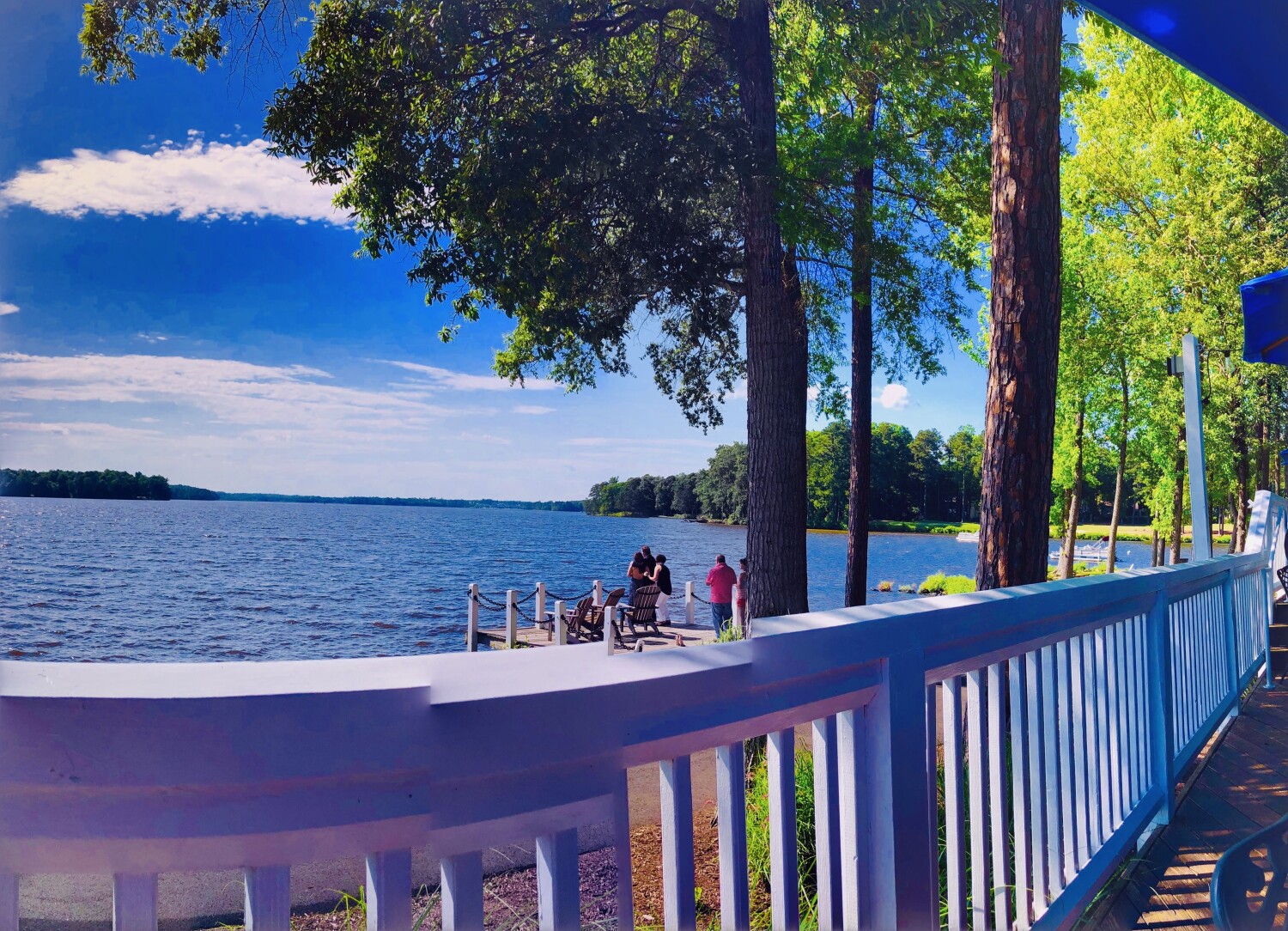 The Boat house view in Midlothian Va