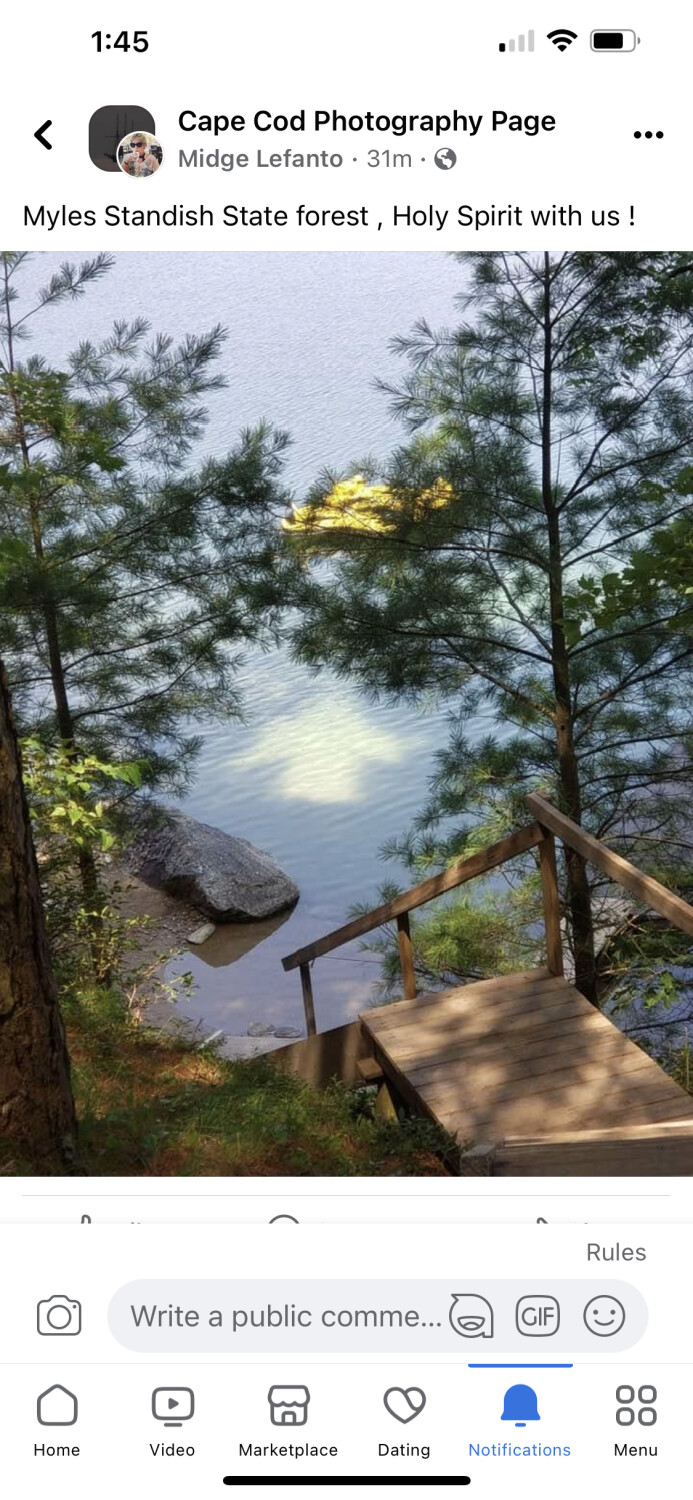 Myles Standish State Forest