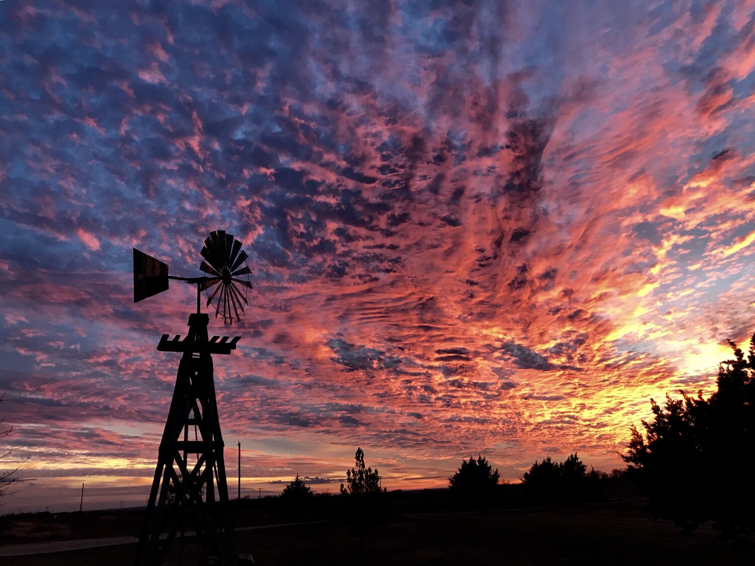 Fire on the Homestead