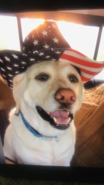 Thank god I’m a country dog ❤️