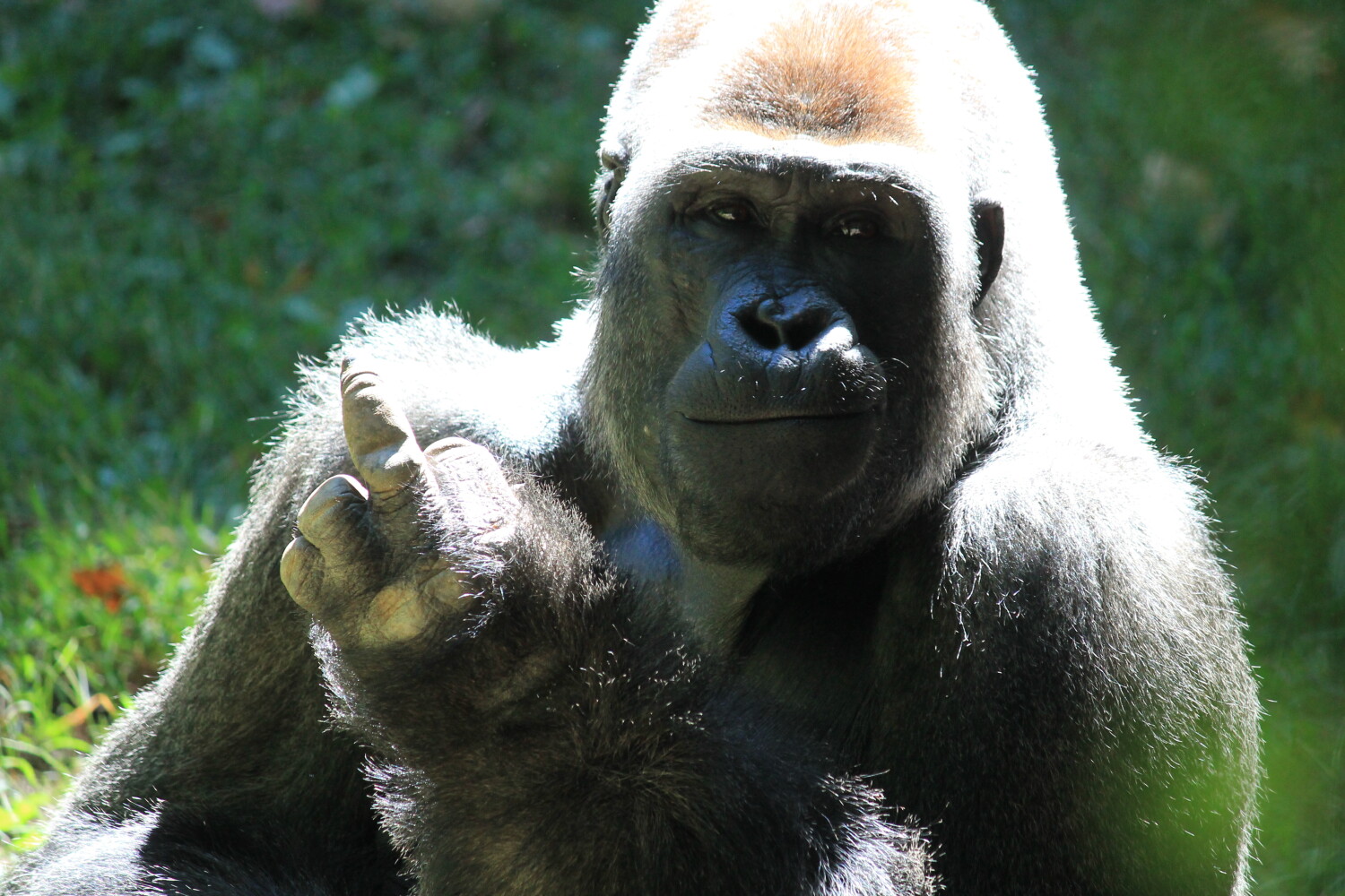 And this is how I feel...