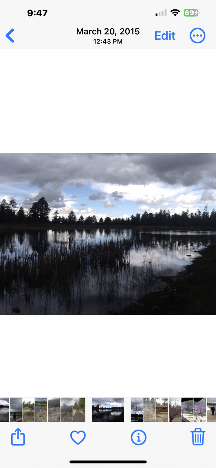 Pinetop pond