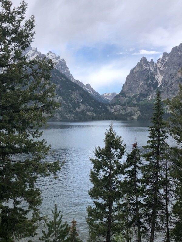 Jenny Lake