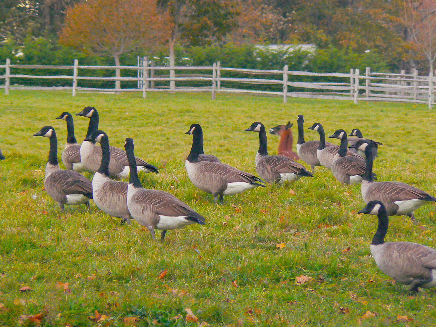 Ever Feel Out of Place?