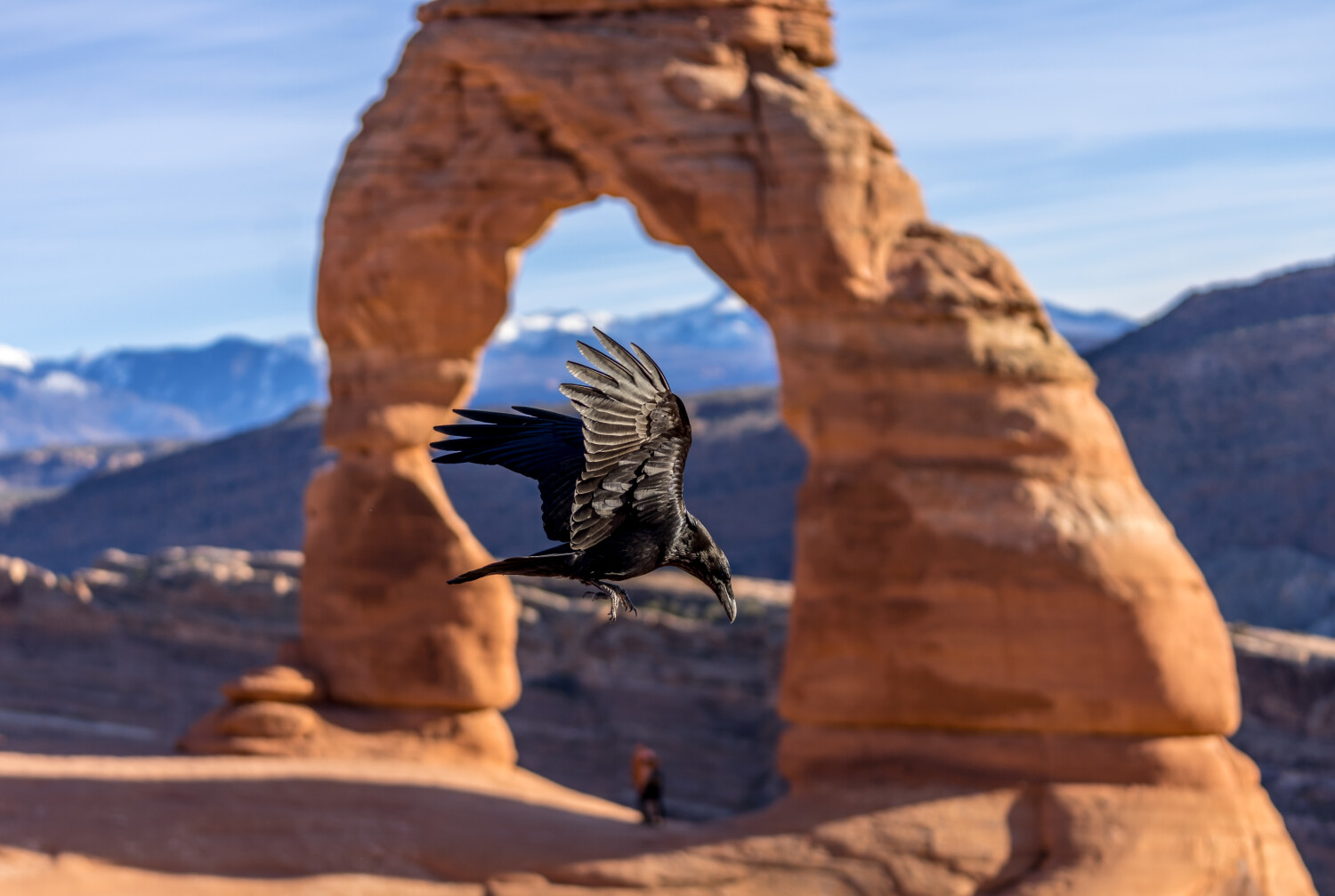 Arches Behind The Wings