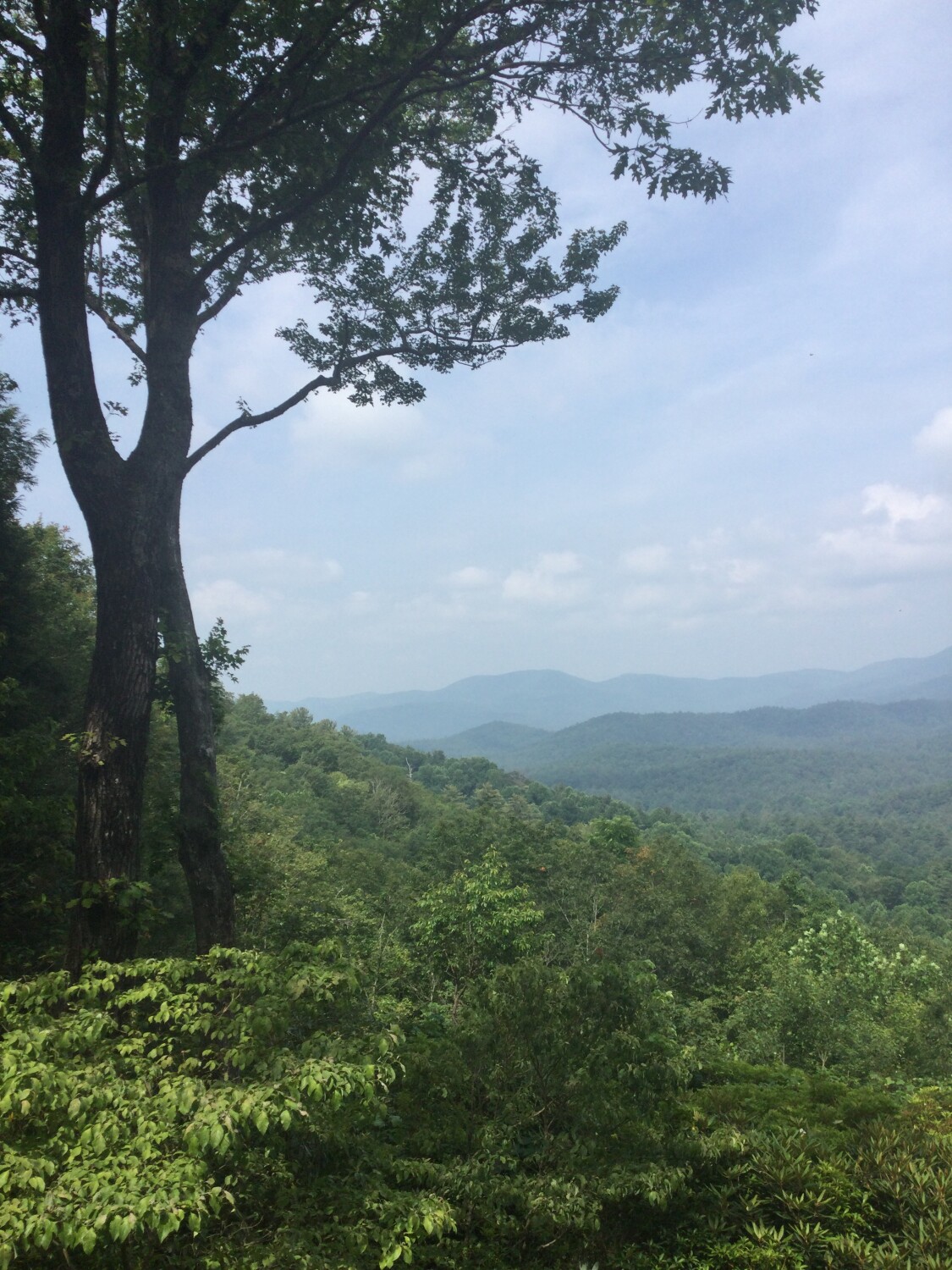 The Mountain View in North Carolina