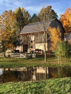 Autumn on the Farm