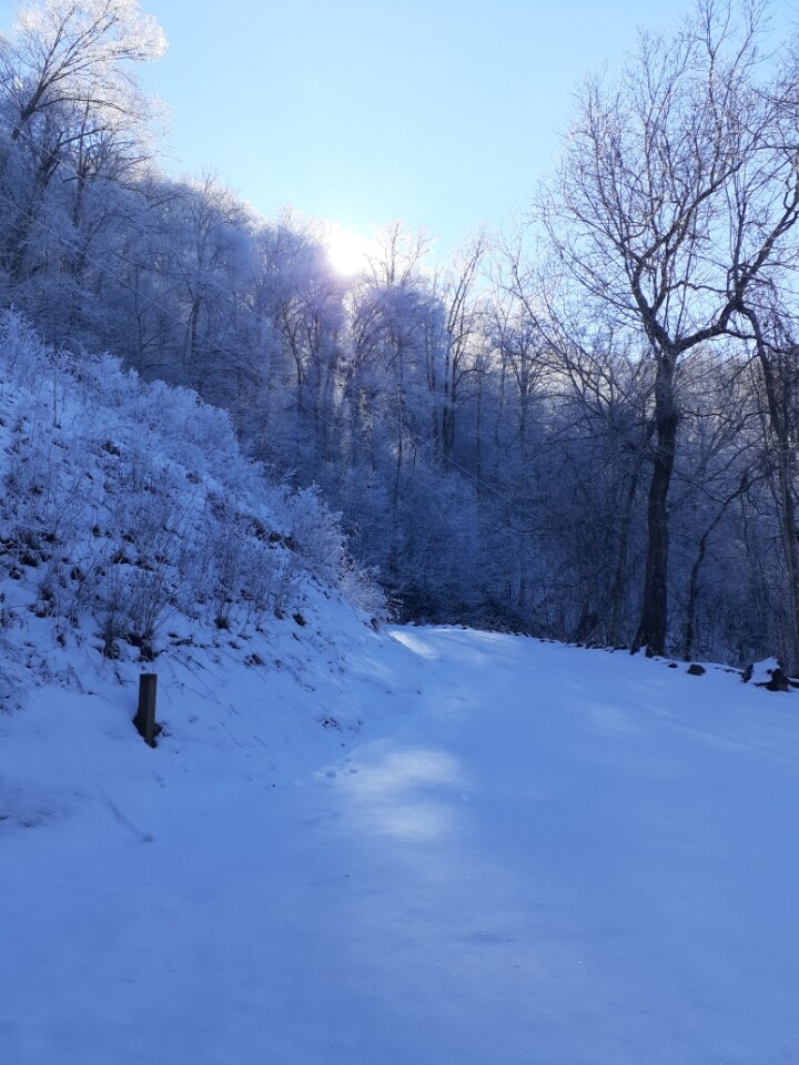 Heaven North Carolina