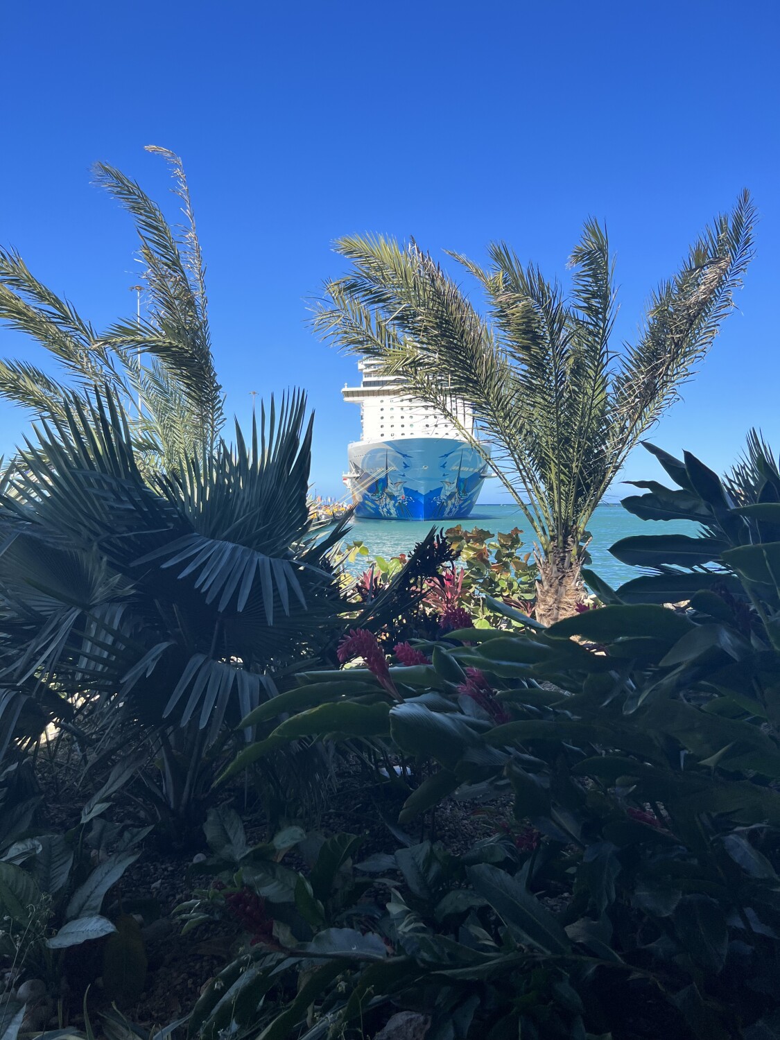 Ship anchored in Puerto Vallarta