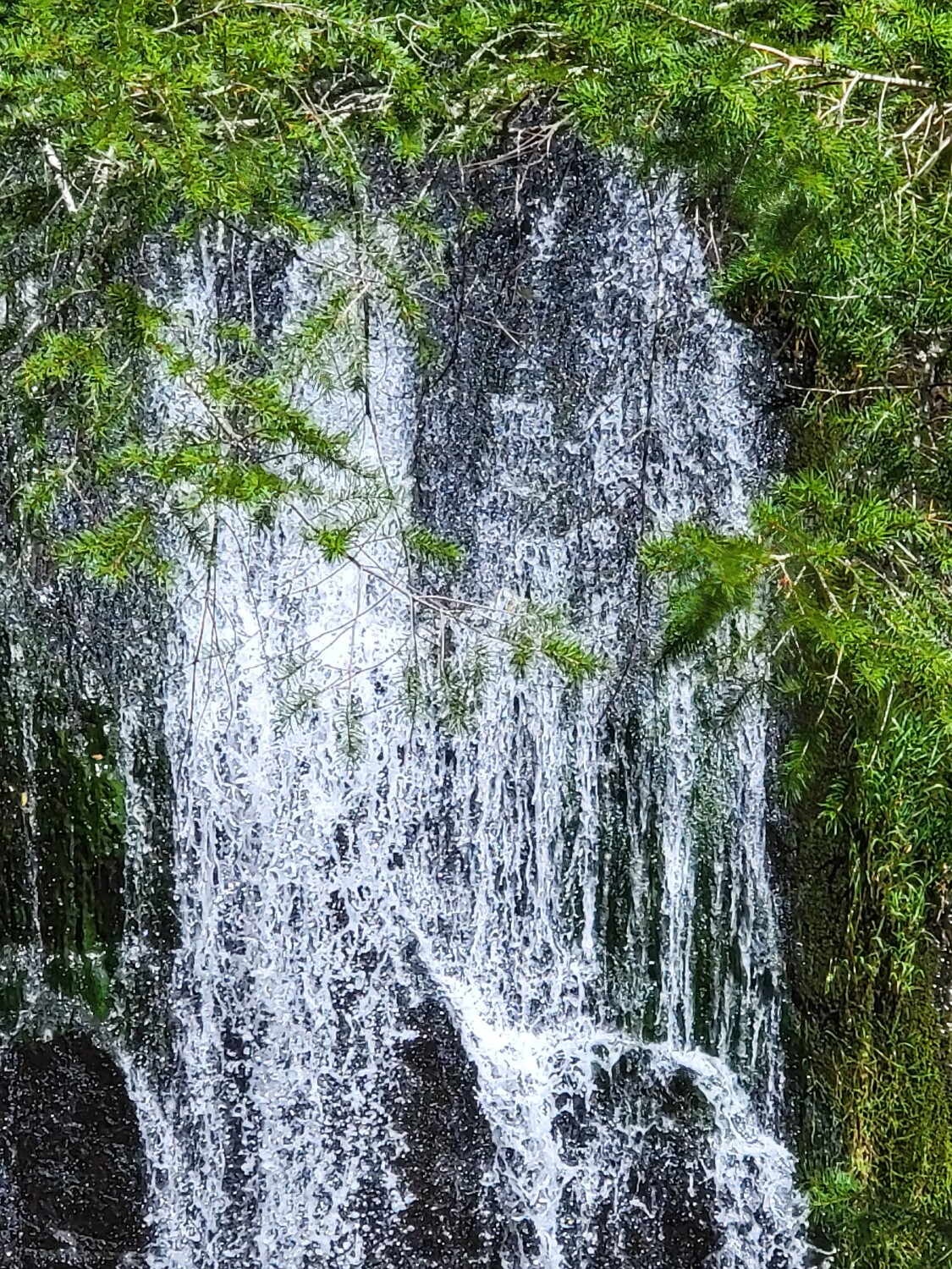 Toketee falls