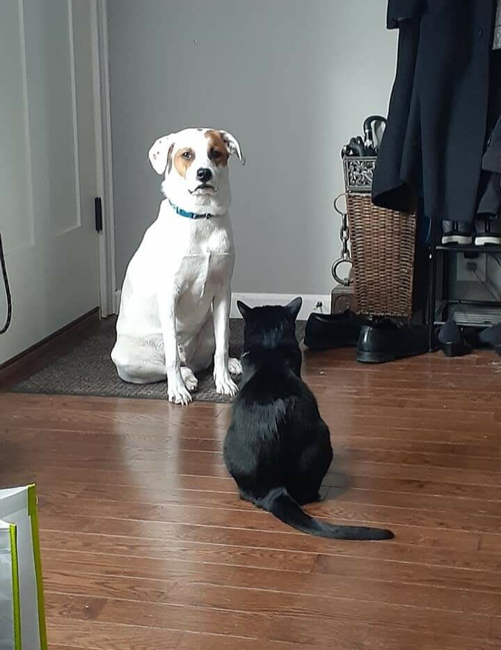 Karma kept Bentley in the corner