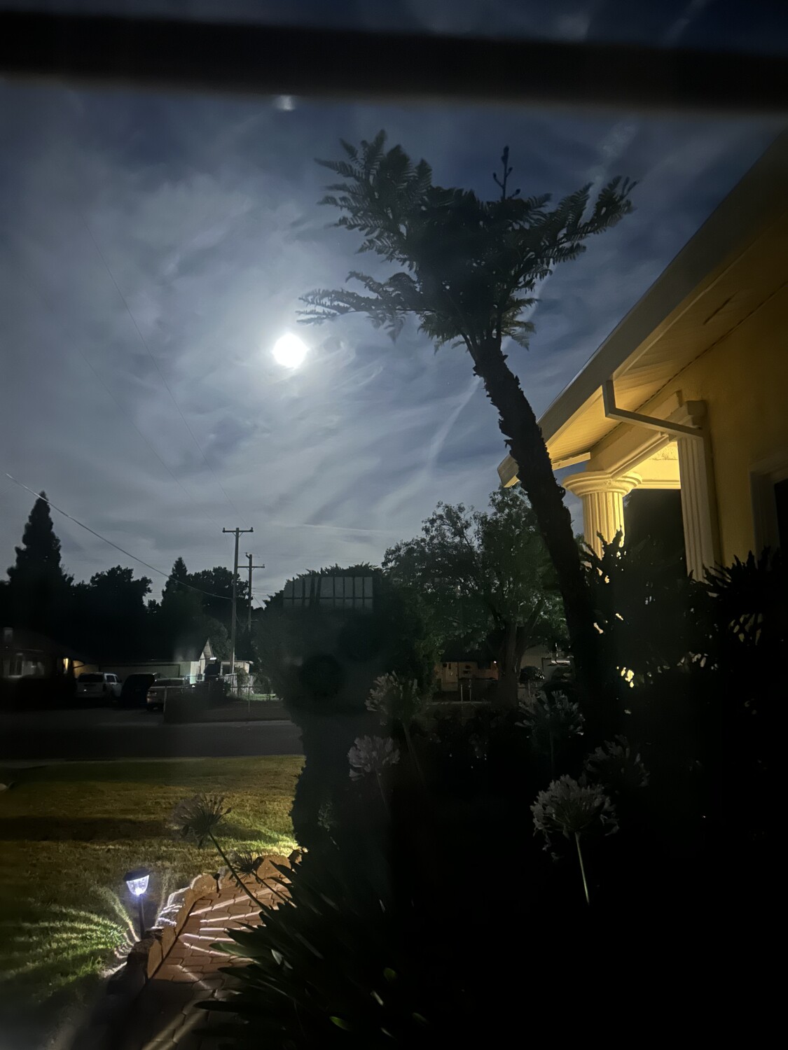 What I see from my room