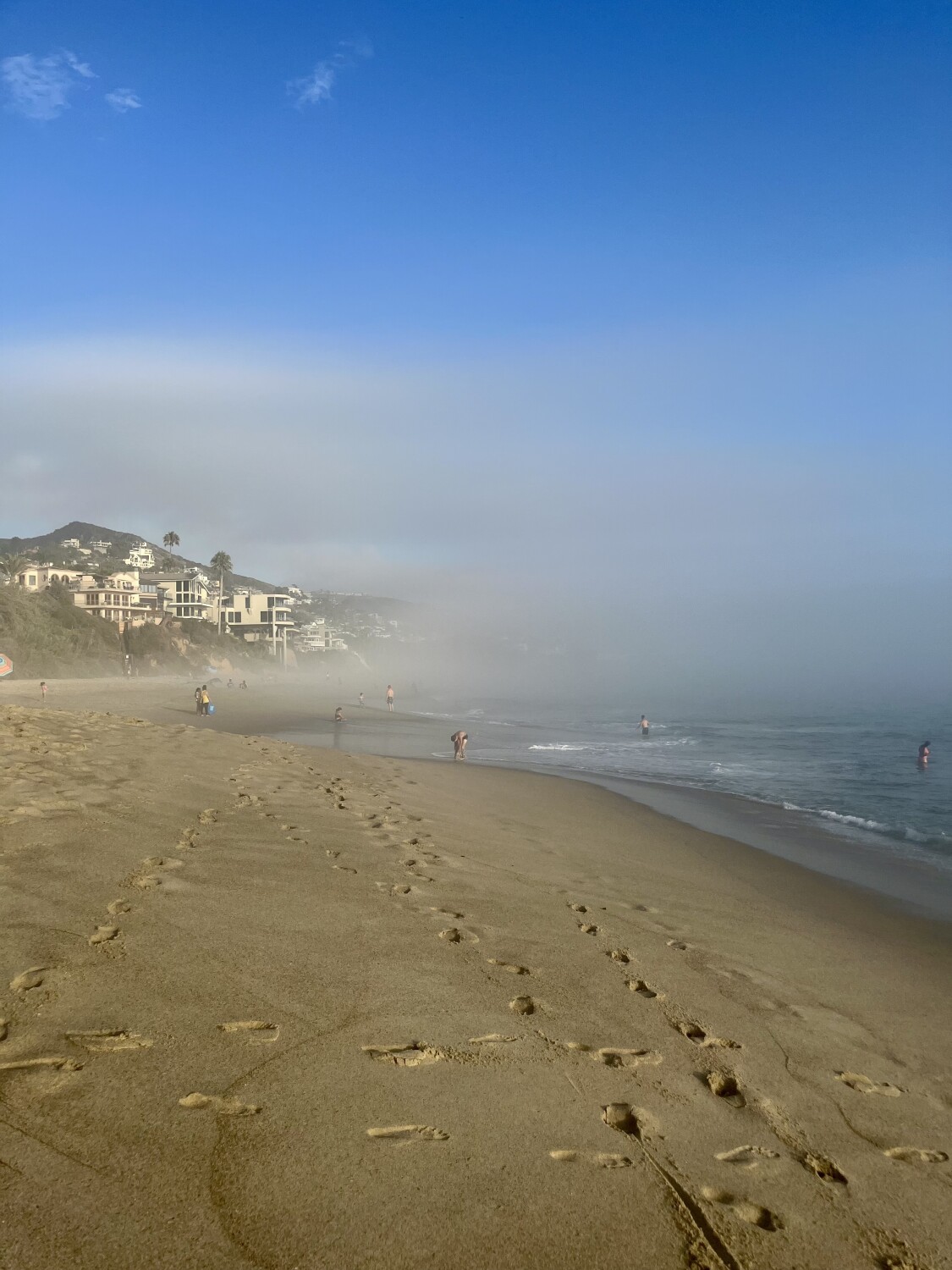 Laguna fog