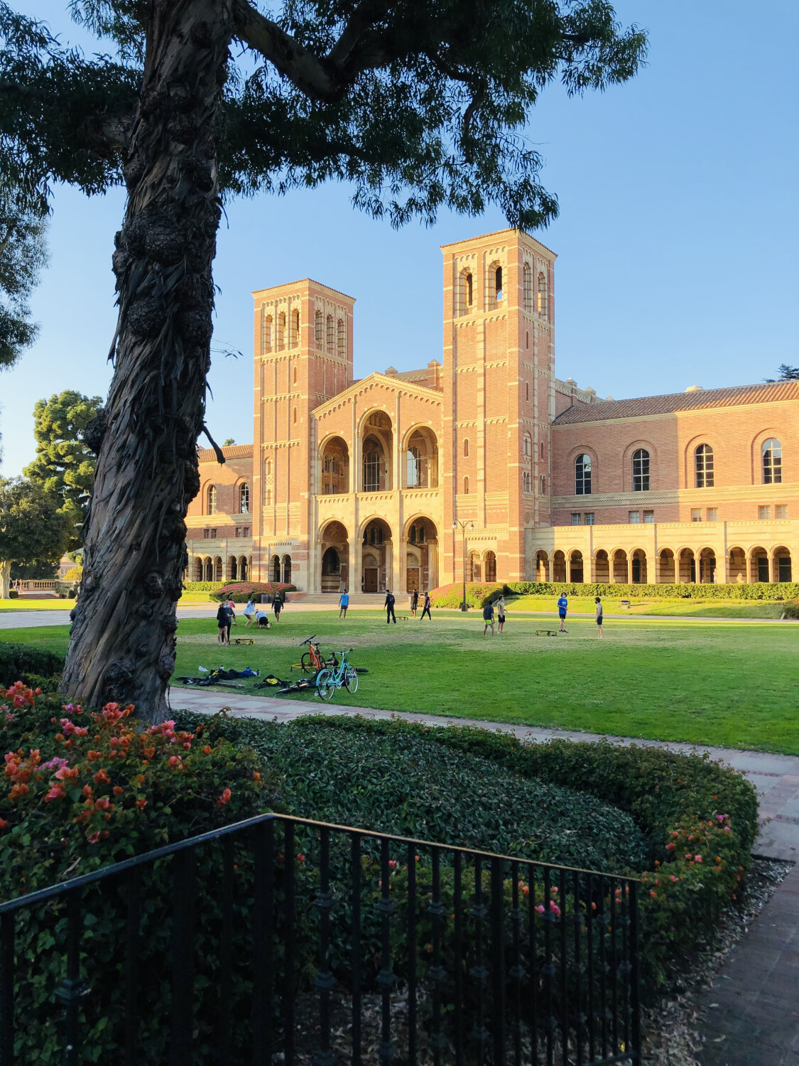 University of California, Los Angeles