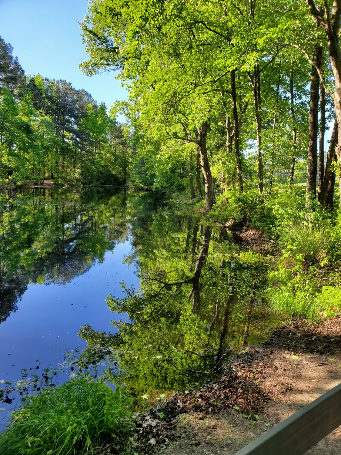 Early morning on the Clayton trail