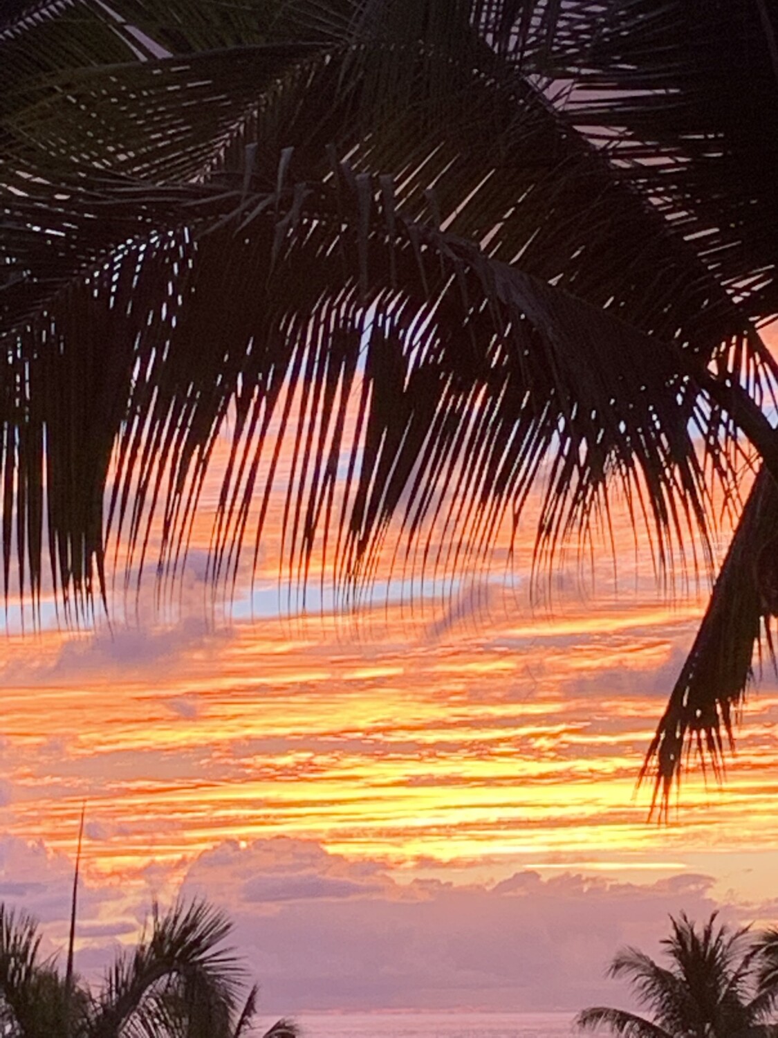 Hawaiian Sunset