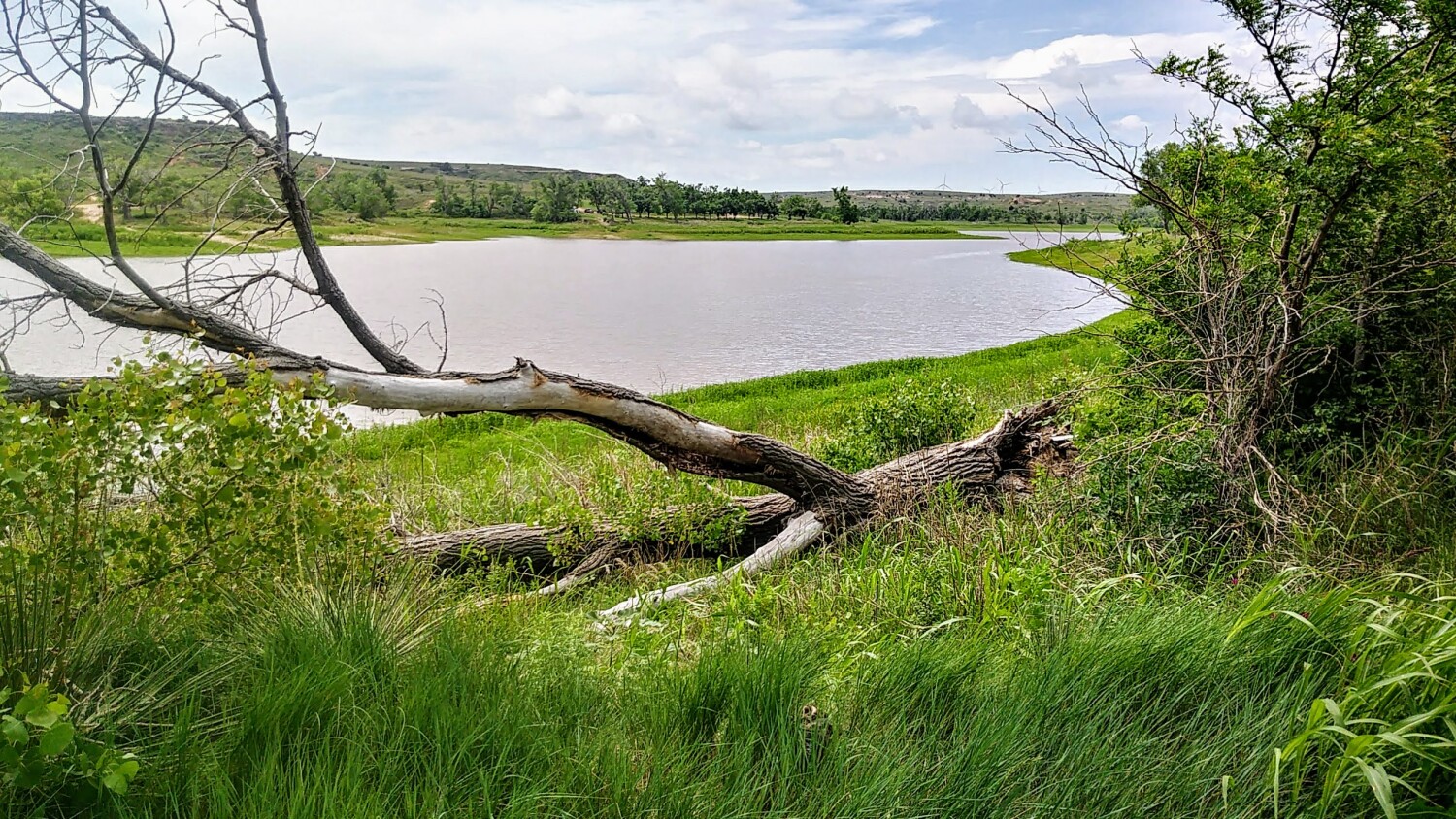 Lake McClellan, Texas