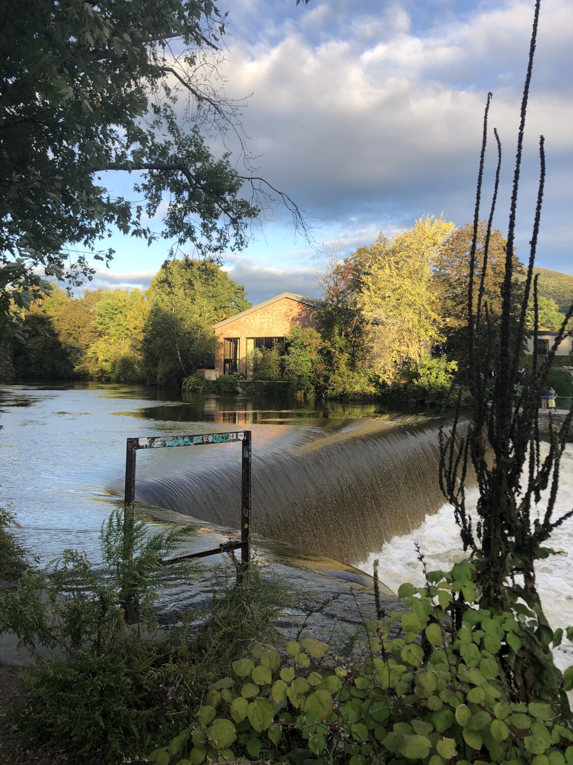 A little piece of heaven