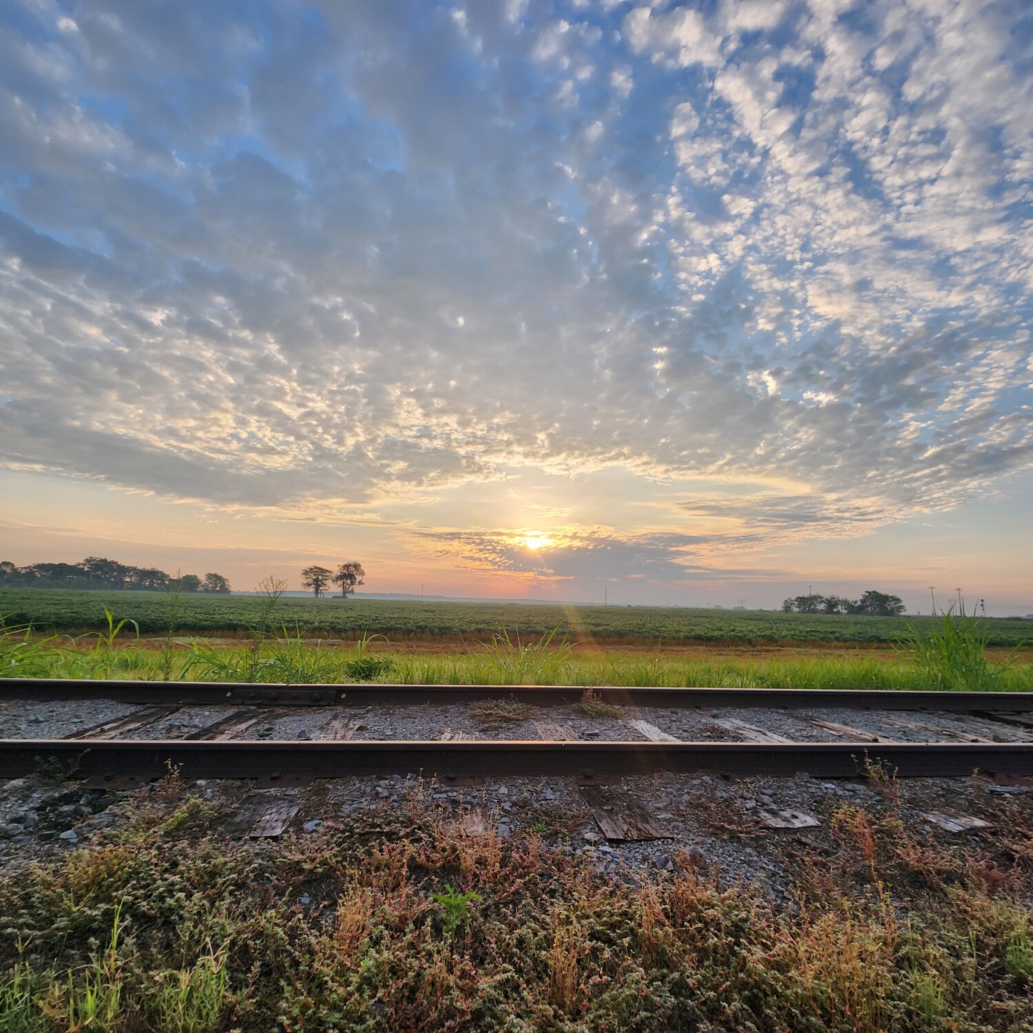 Railway sunrise
