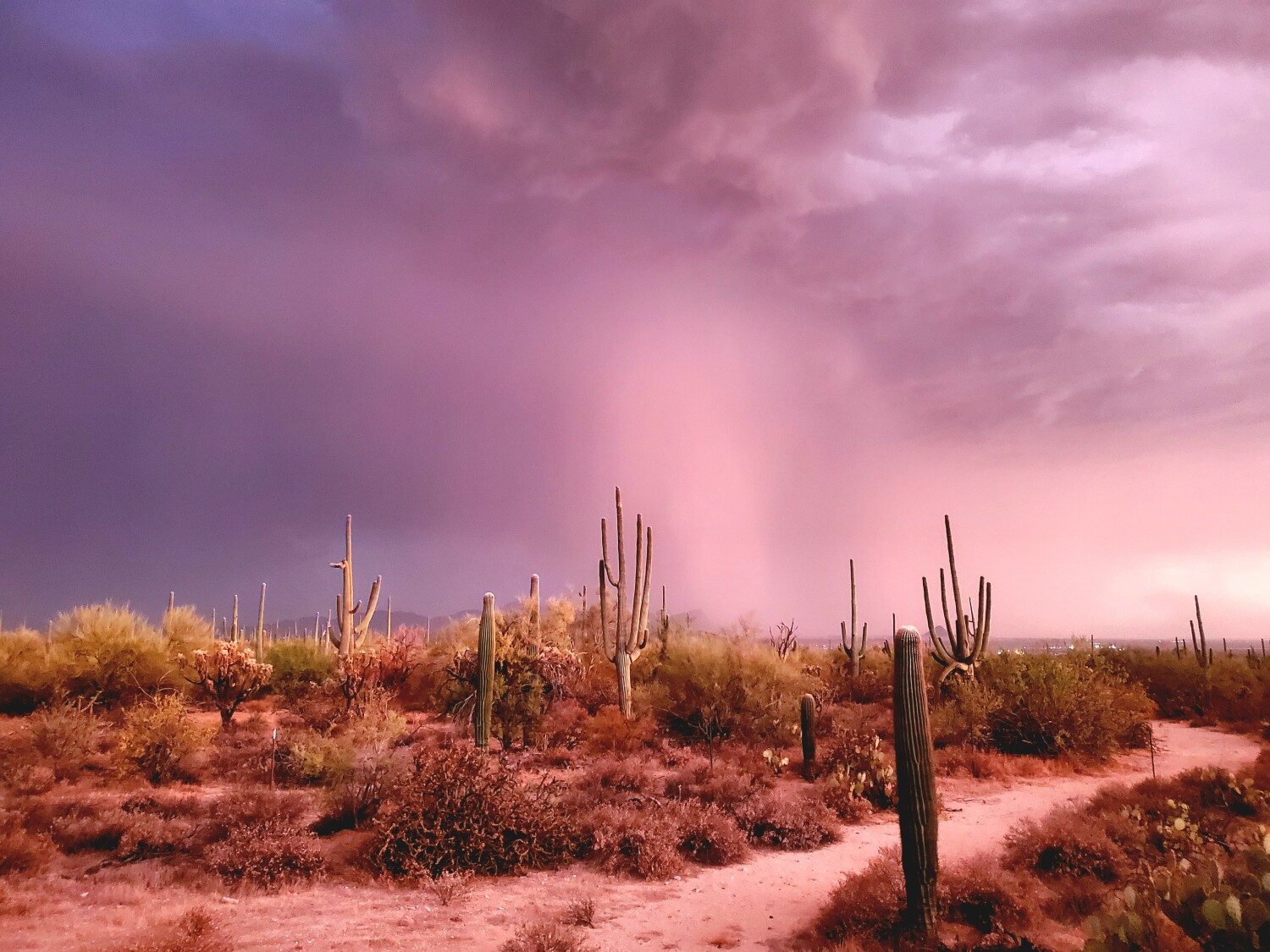 Tuscon storm