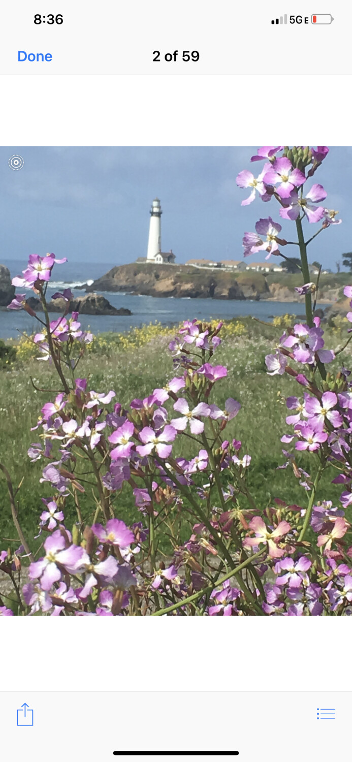 Flowery lighthouse