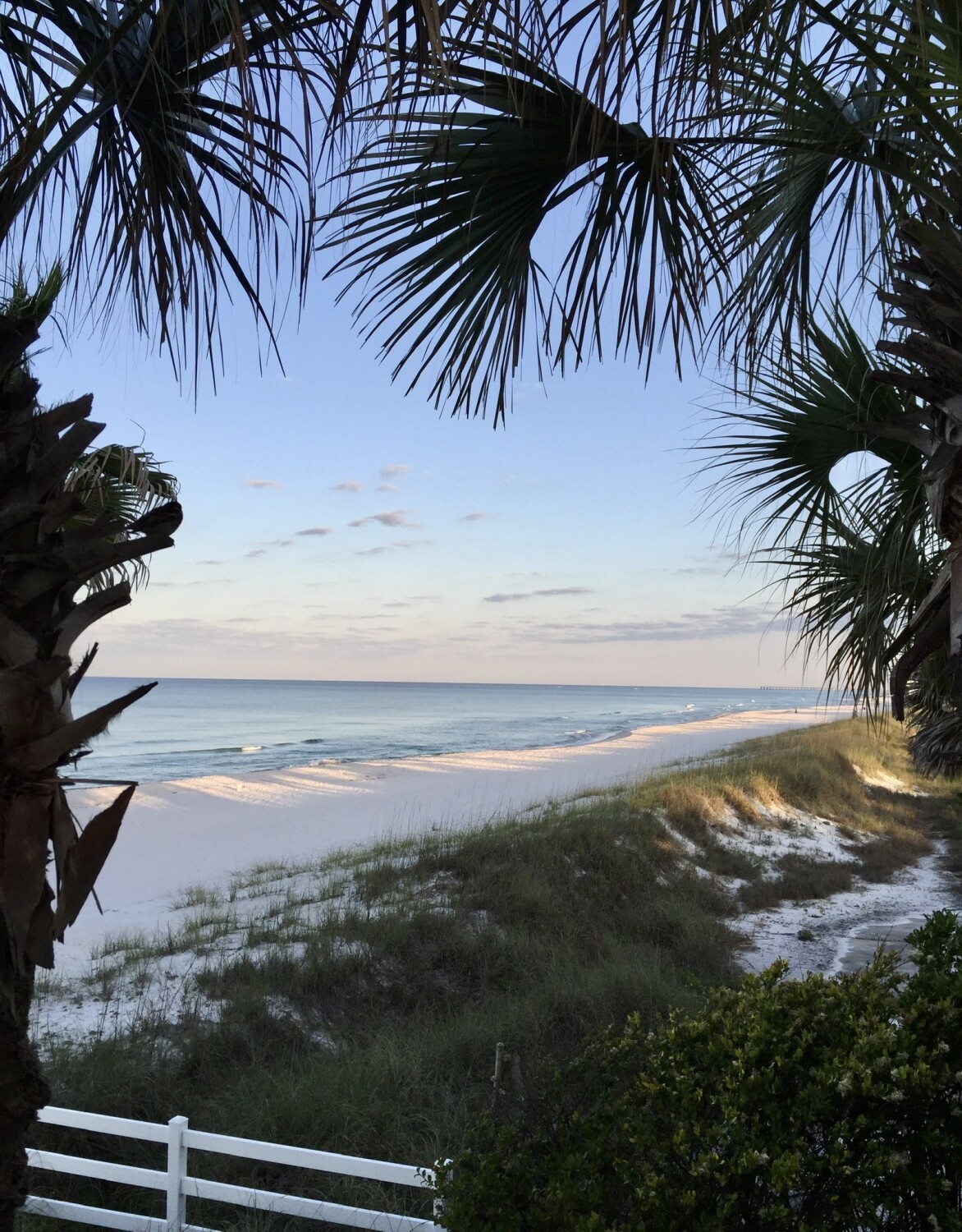 New Day Dawning on the Gulf
