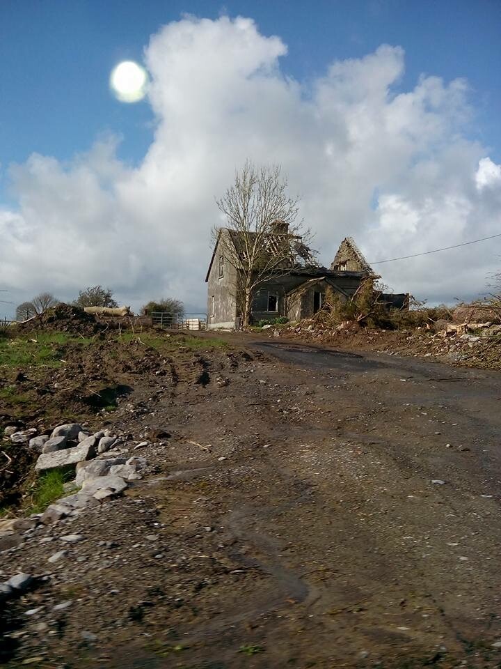 Beauty in desolation