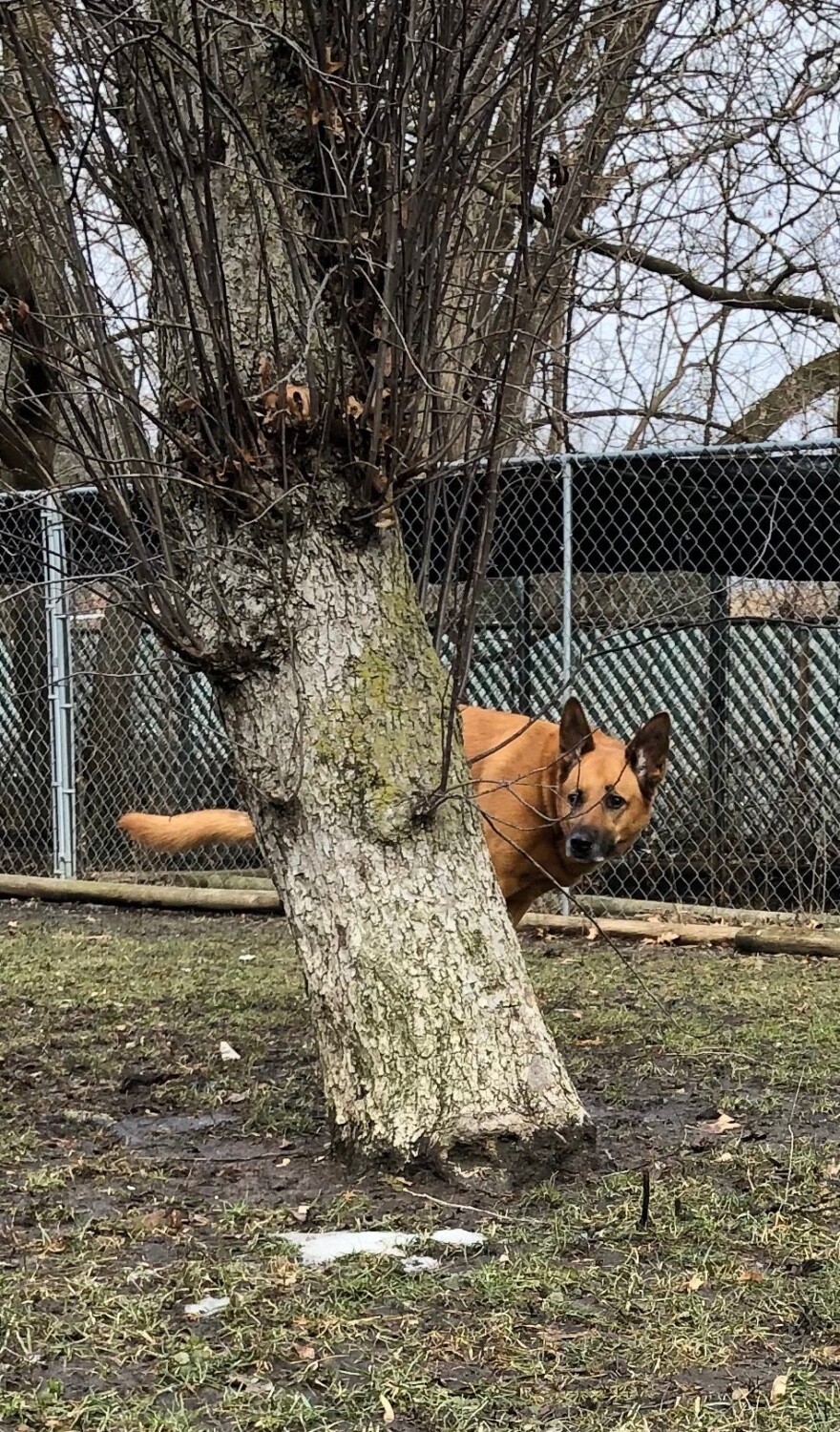 “A little privacy here.”