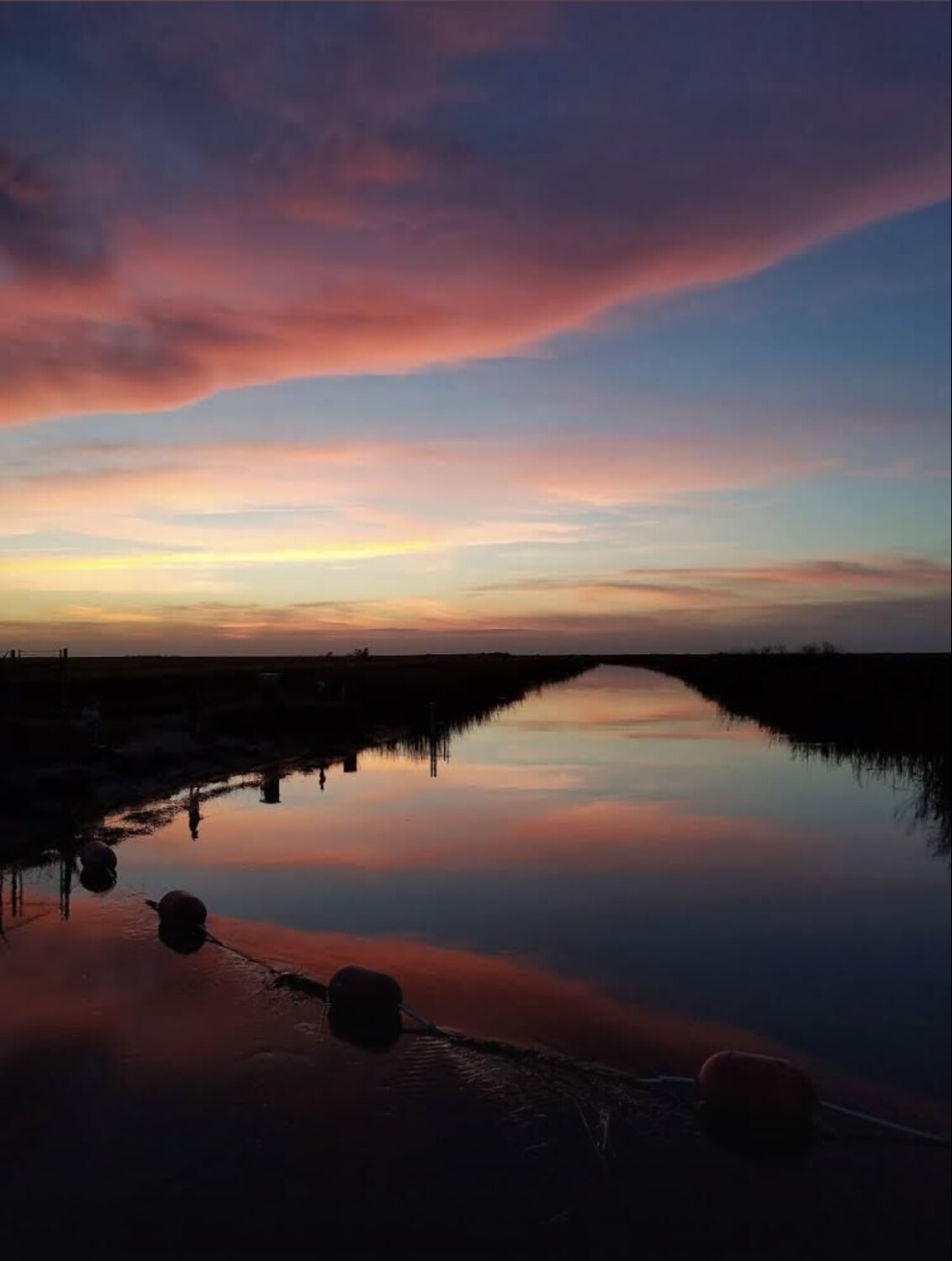 Atardecer en Everglades