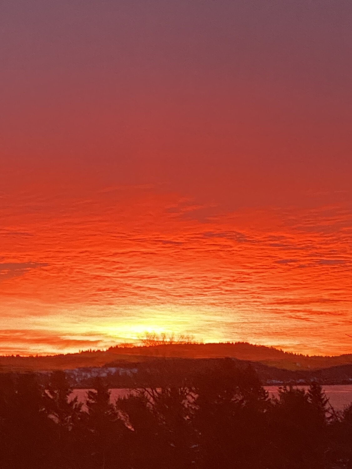 Passamaquoddy Bay ME.