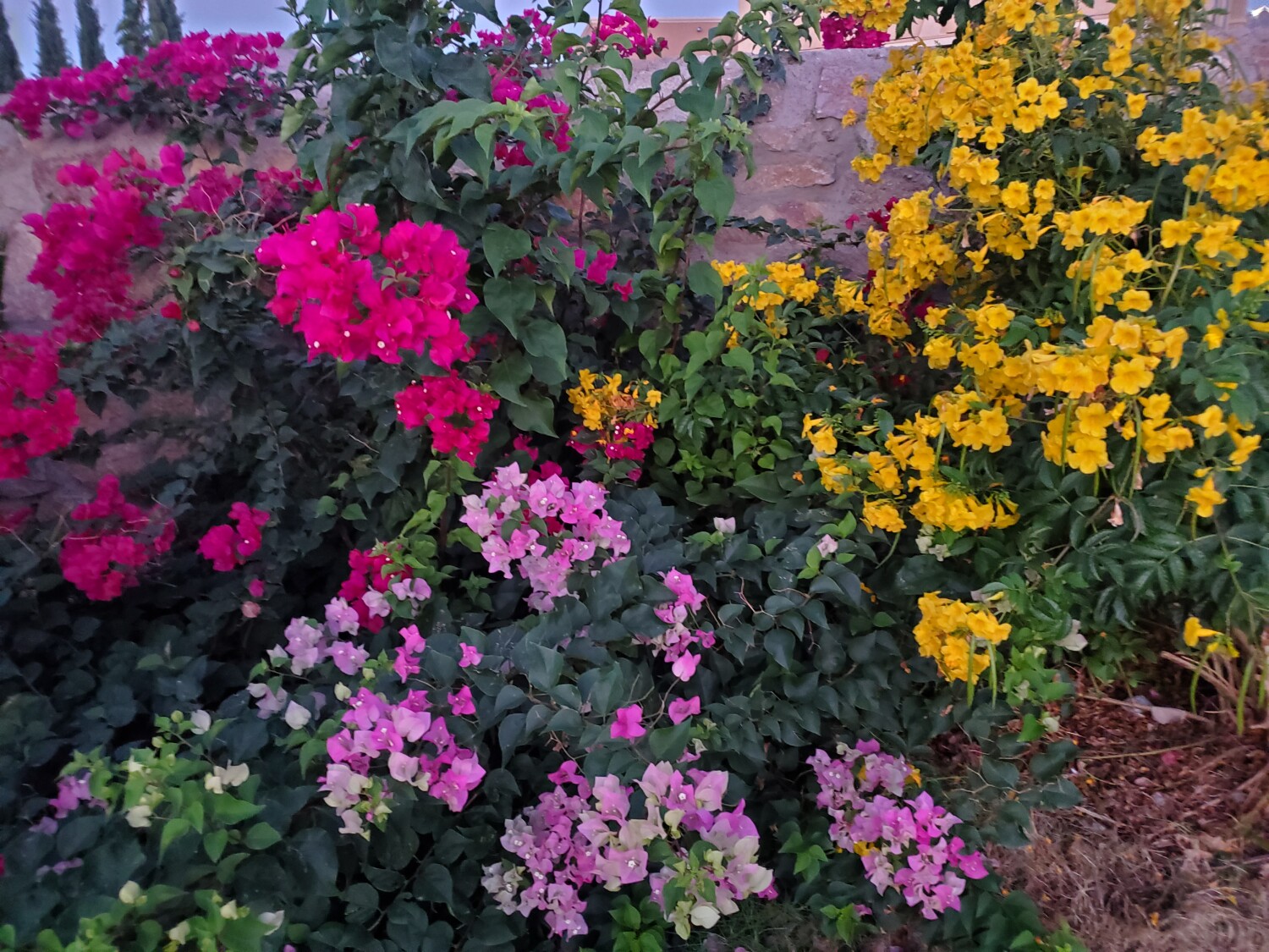 Colors creating beauty