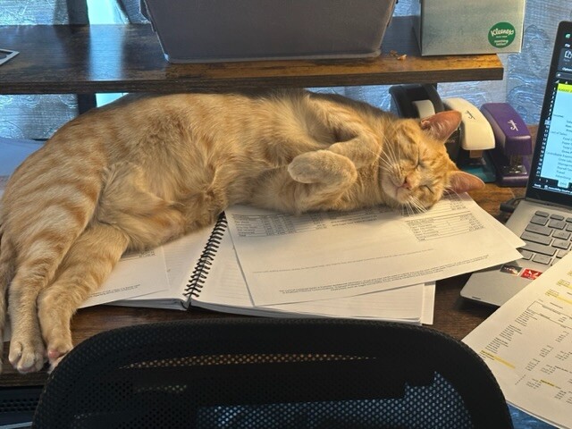 Caught napping on the job!