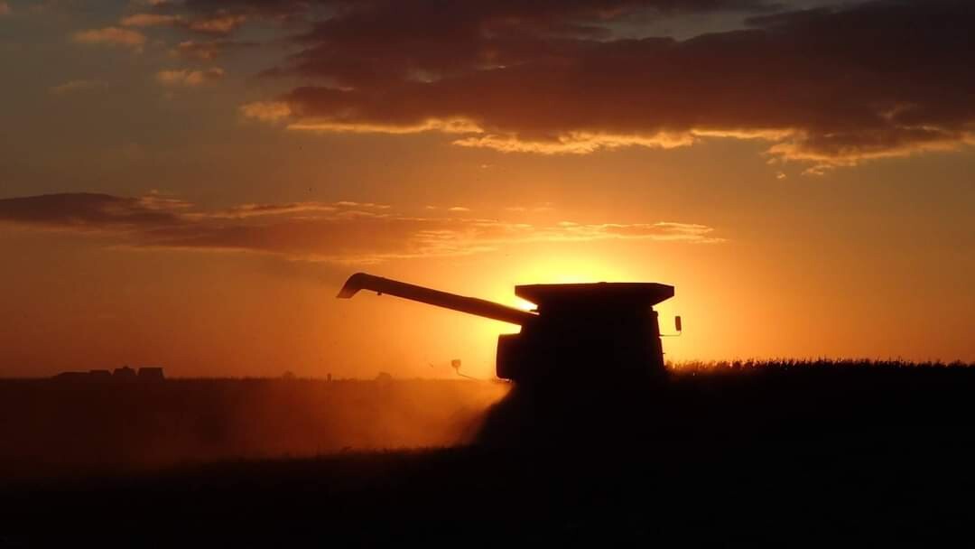 Harvest Sunset