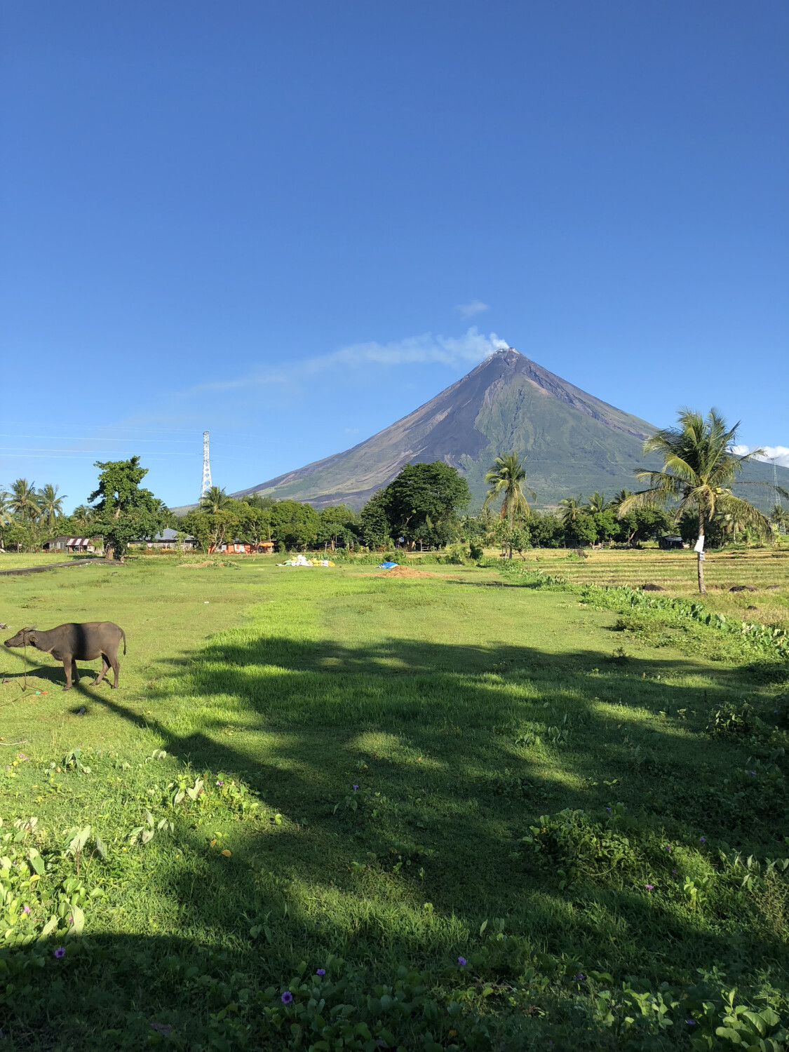 Perfect Cone MAYON VOLCANO