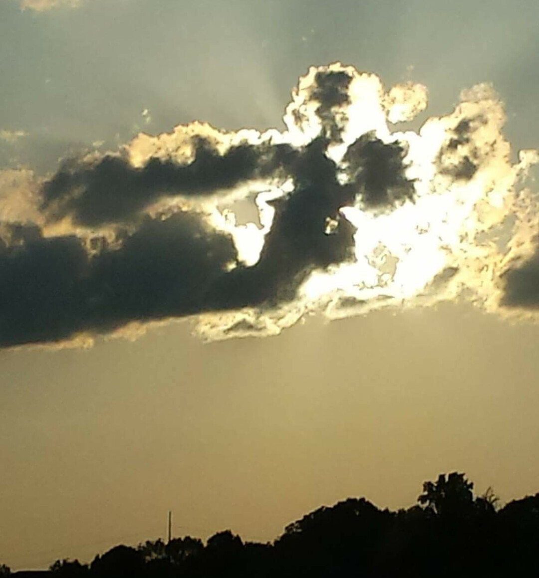 The Wicked Witch of The West