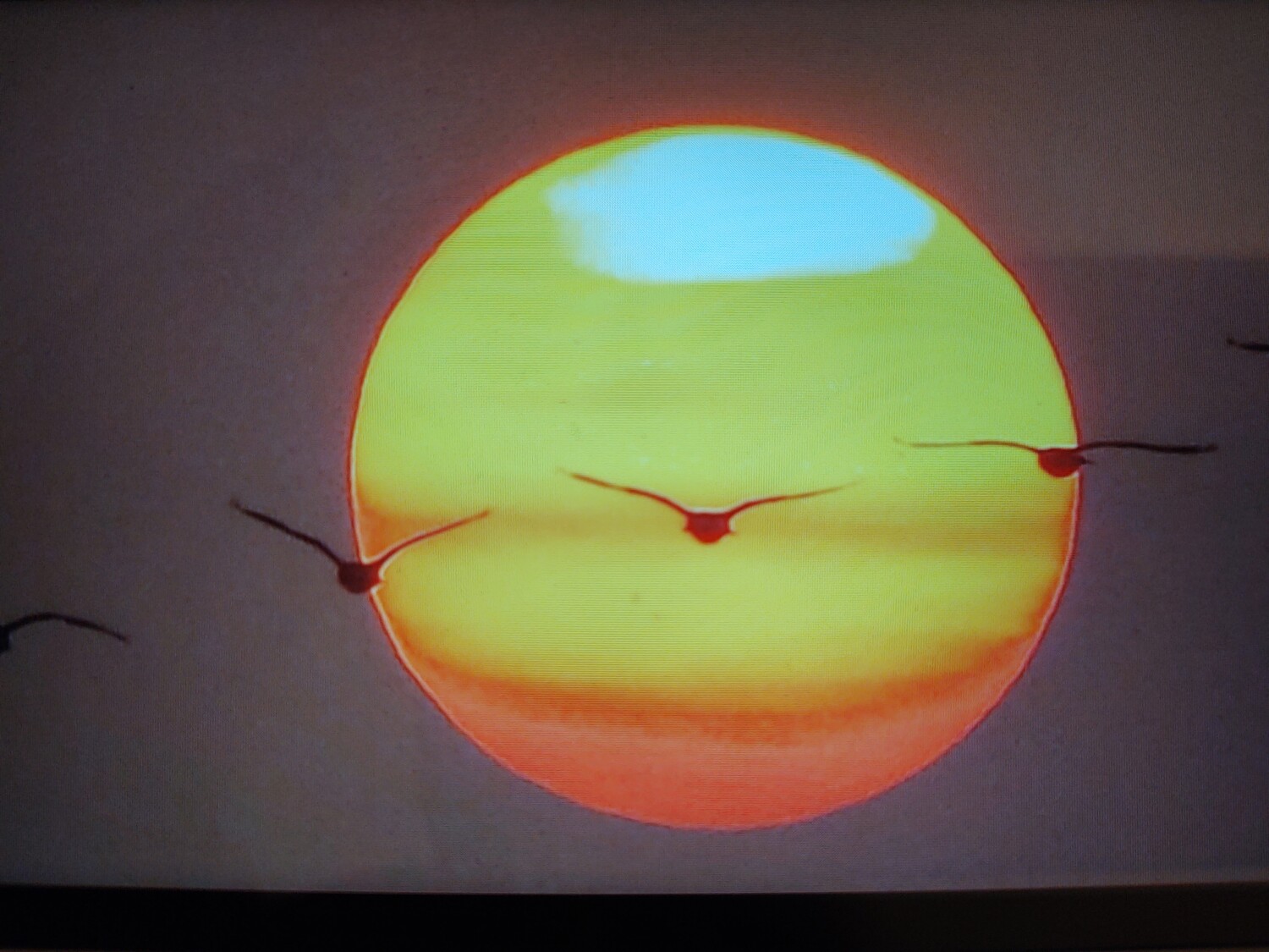 Sunset with geese flying