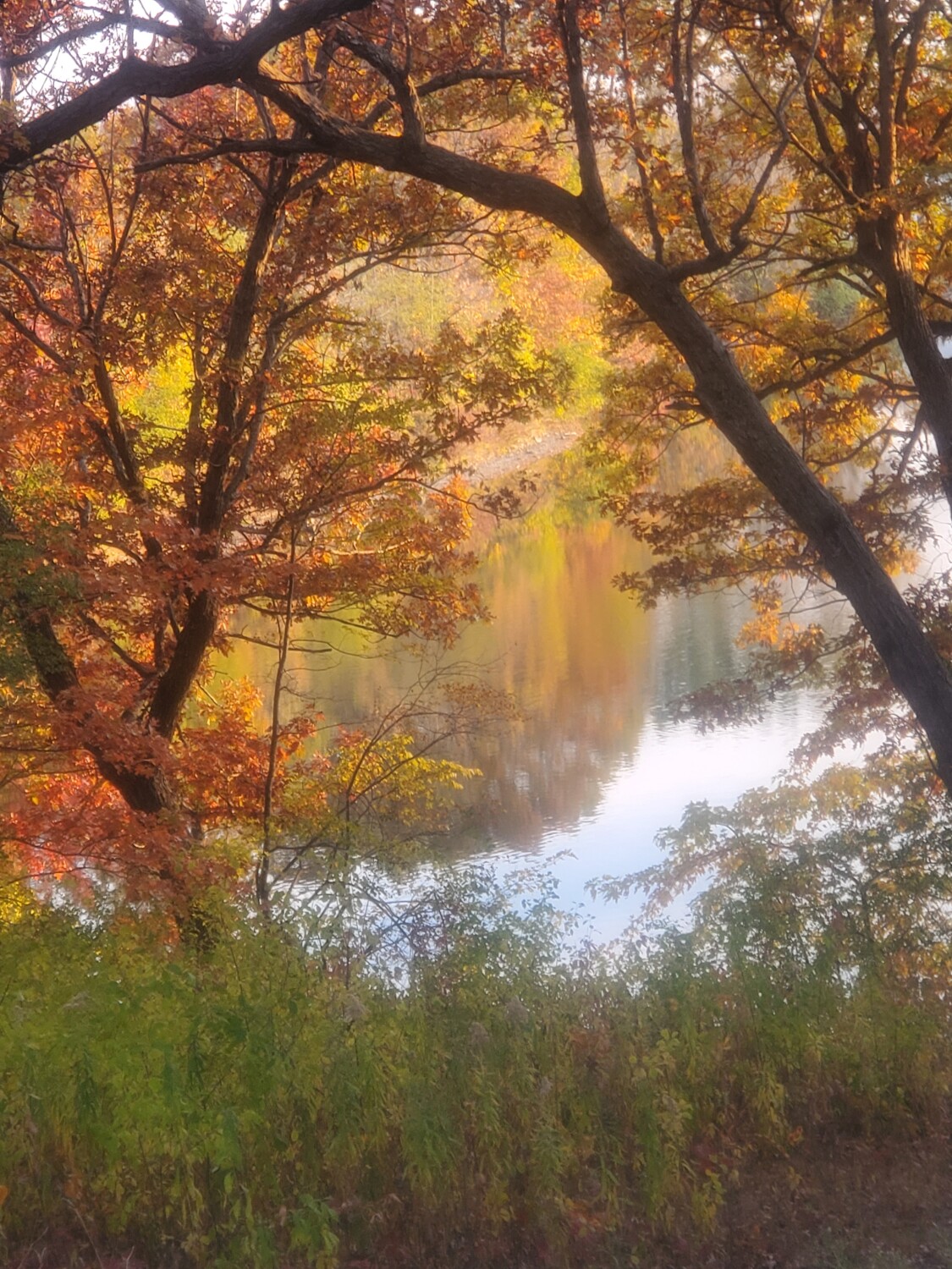 Fall Reflection