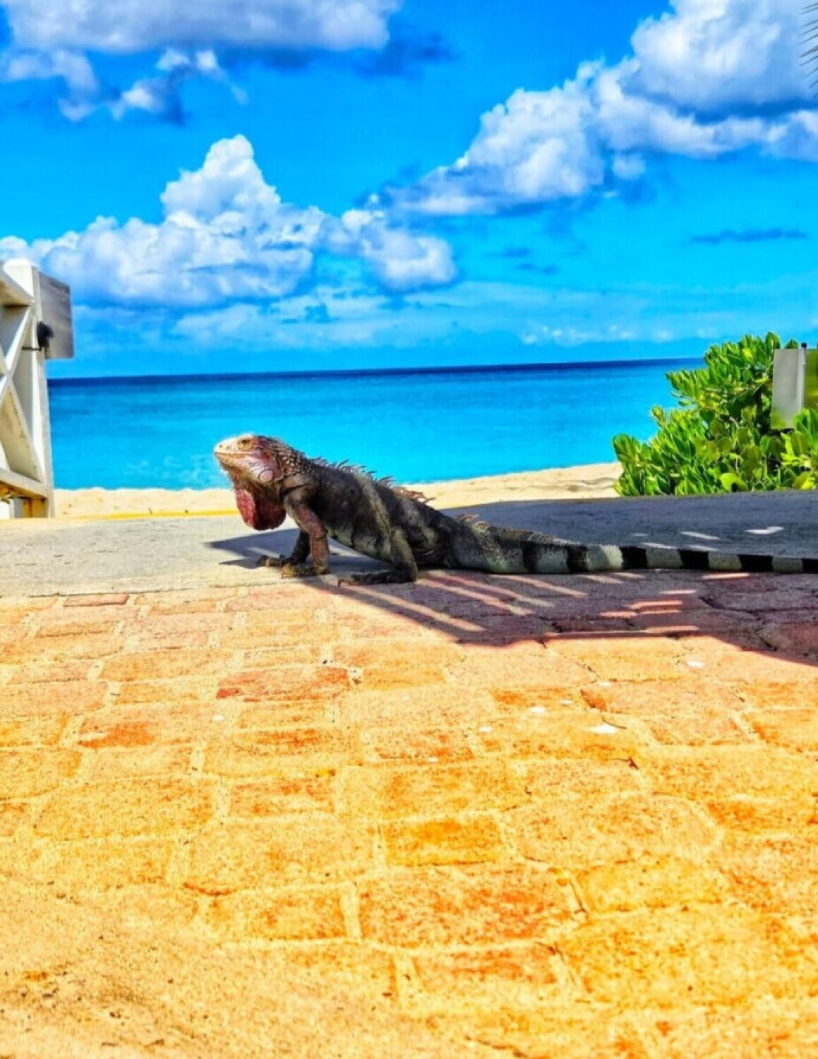 Virgin Islands Paradise