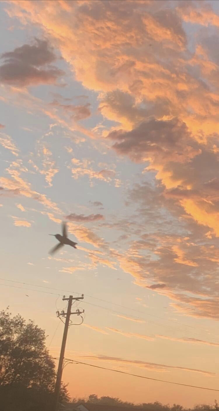 “ Last flight of the day “