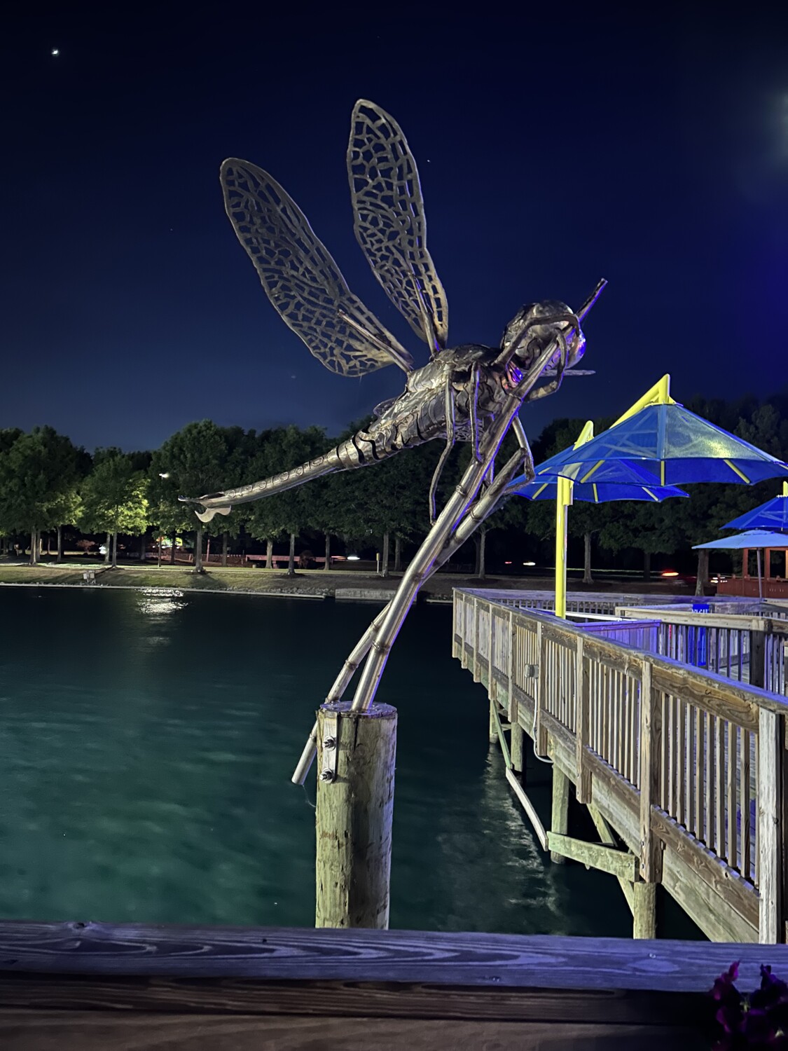 Myrtle Beach dragonfly statue