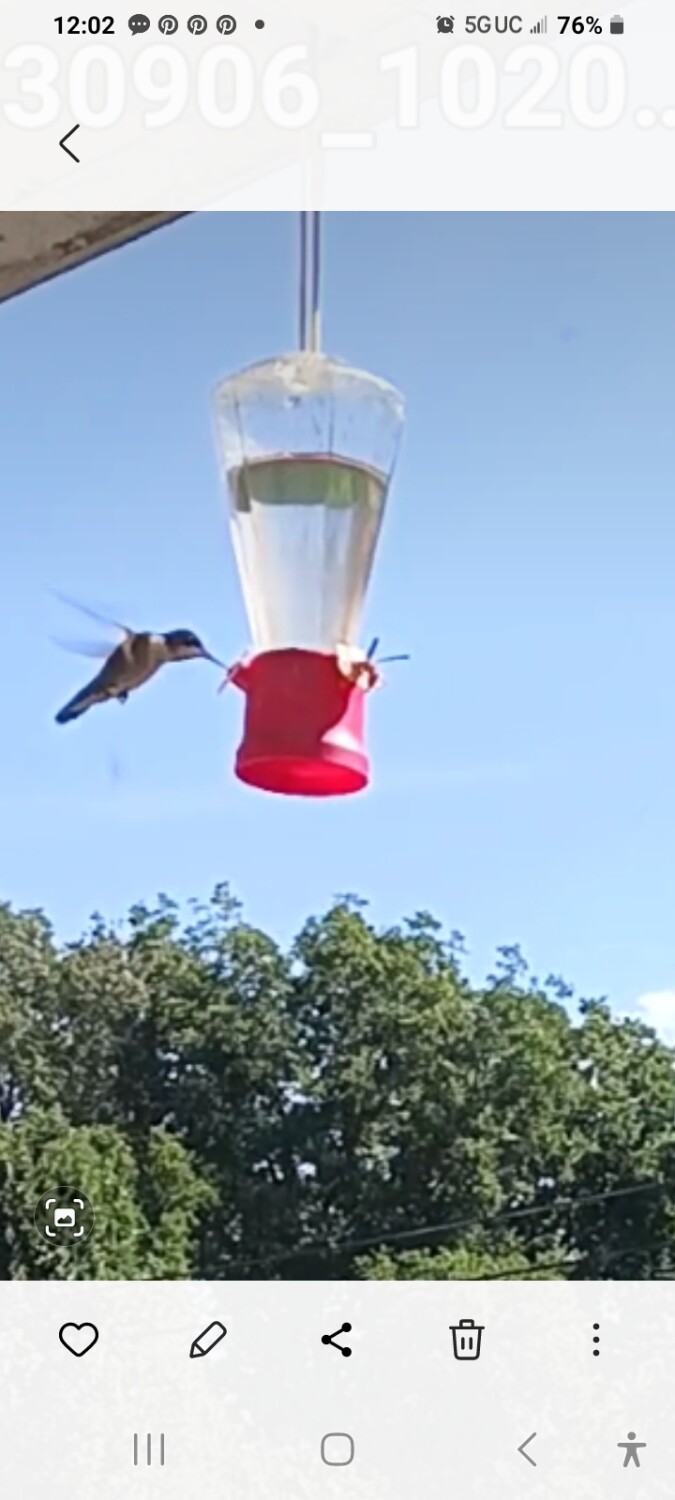 Sharing The Sugar Water